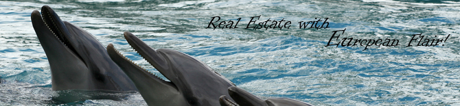 Hilton Head Activities